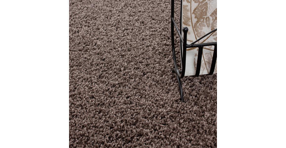 HOCHFLORTEPPICH 60/110 cm Life 1500 Taupe - Taupe, KONVENTIONELL, Textil (60/110cm) - Novel