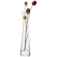 VASE 23 cm  - Klar, Basics, Glas (8/23cm) - Ambia Home