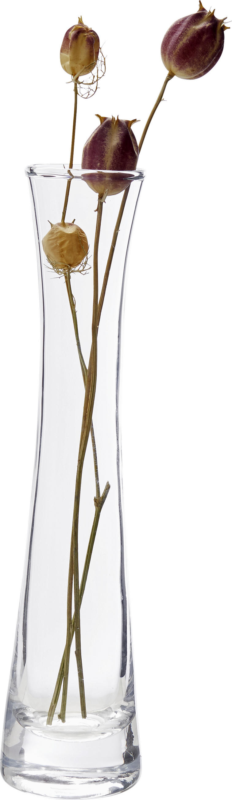 VÁZA, sklo, 23 cm - čiré, Basics, sklo (8/23cm) - Ambia Home
