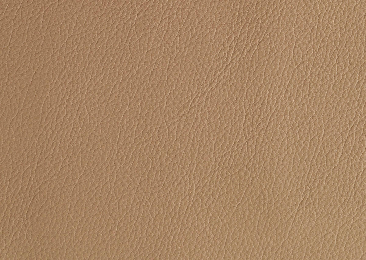 FERNSEHSESSEL in Hellbraun  - Hellbraun/Schwarz, Konventionell, Leder/Kunststoff (69/109/83cm) - Cantus
