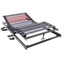 LATTENROST 100/200 cm Kopfteil, Fußteil verstellbar,  - Schieferfarben/Anthrazit, Basics, Holz/Kunststoff (100/200cm) - Dieter Knoll
