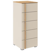 KOMMODE , 40/100/42 cm, 5 Schublade(n)  - Champagner/Alufarben, Design, Holz/Holzwerkstoff (40/100/42cm) - Stylife