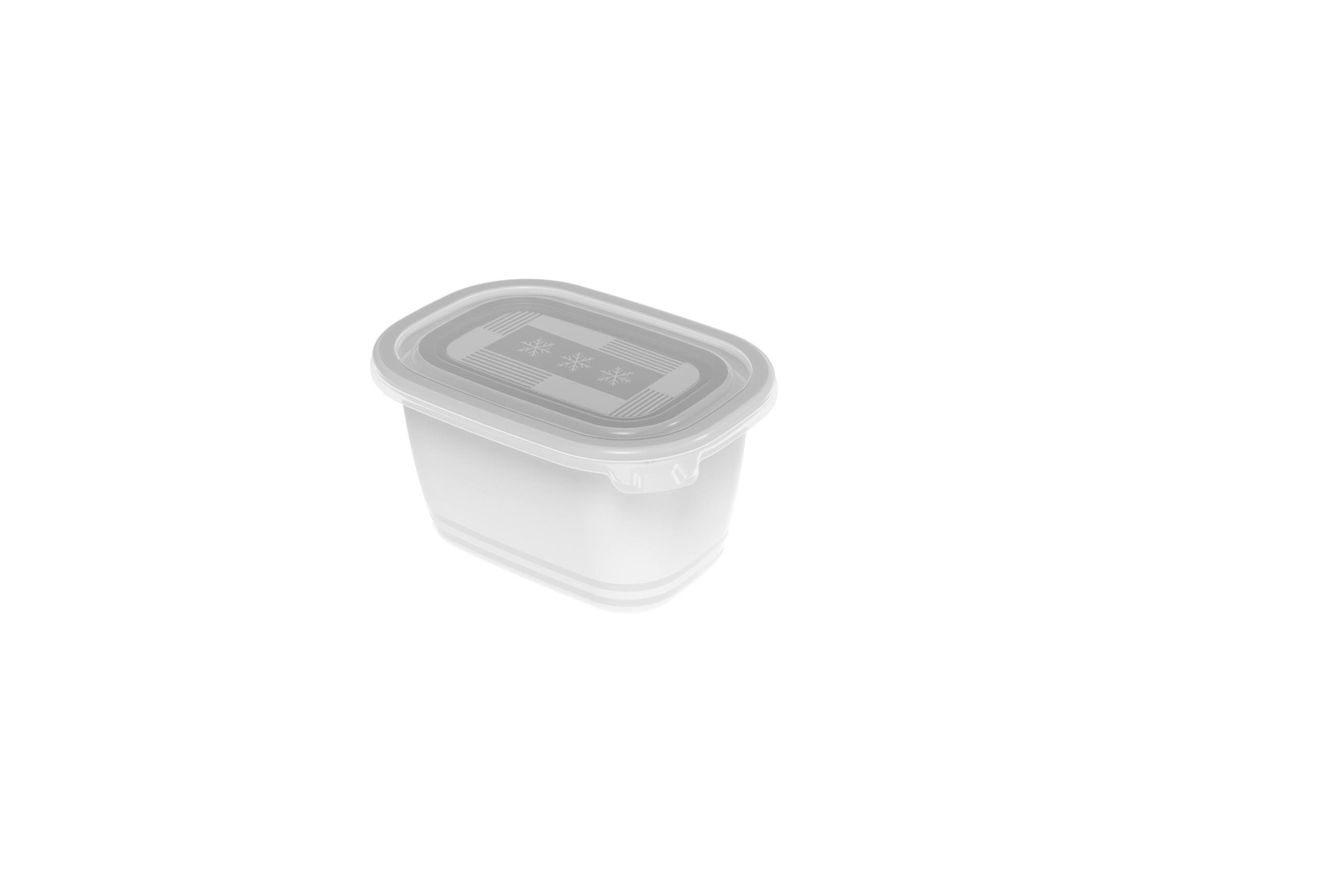 GEFRIERDOSE FREEZE 0,75 L  - Transparent, Basics, Kunststoff (15,5/11/13,4cm) - Rotho