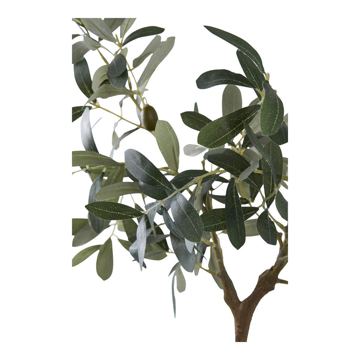 KUNSTPFLANZE Olive  - Grün, Design (22.5/61/36.5cm)