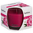 VONNÁ SVÍČKA - pink/čiré, Basics, sklo (9,5/9,5cm) - Bolsius VONNÁ SVÍČKA - pink/čiré, Basics, sklo (9,5/9,5cm) - Bolsius