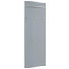 GARDEROBENPANEEL  in 60/170/10 cm  - Grau, Design, Glas/Holzwerkstoff (60/170/10cm)