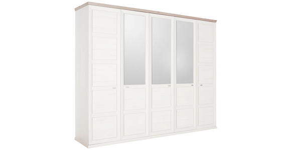 DREHTÜRENSCHRANK 255/209/60 cm 5-türig  - Weiß/Grau, LIFESTYLE, Glas/Holzwerkstoff (255/209/60cm) - Hom`in