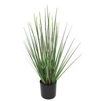 DEKOGRAS - Dunkelgrün, Basics, Kunststoff/Metall (66cm) - Ambia Home