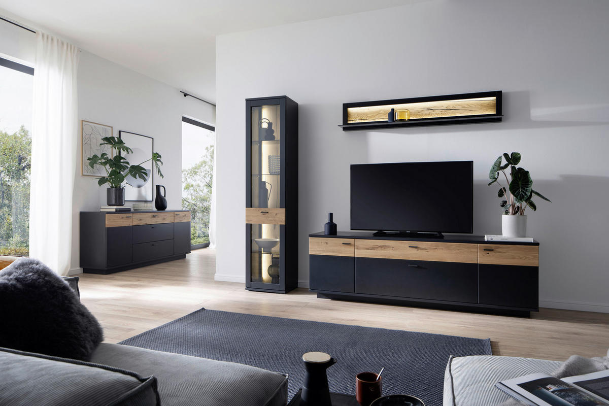 Set Mobilă Living, gri, stejar sălbatic, 250/201/50 cm - stejar sălbatic/negru, Design, sticlă/metal (250/201/50cm) - Novel