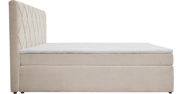 BOXSPRINGBETT 160/200 cm  in Creme  - Creme/Schwarz, Design, Kunststoff/Textil (160/200cm) - Xora