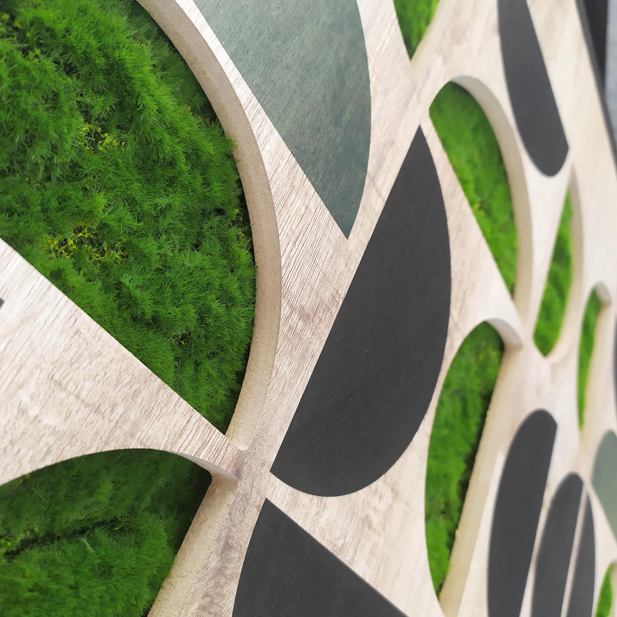 MOOSBILD 70/100 cm  - Dunkelgrün/Schwarz, Basics, Holz/Kunststoff (70/100cm)
