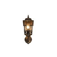 VÄGGLAMPA FÖR UTOMHUS - transparent/rostfärgad, Klassisk, metall/glas (15/19,5/41,5cm) - Trio Leuchten