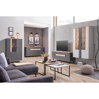 WOHNWAND  in Anthrazit, Grau, Eichefarben   - Eichefarben/Anthrazit, Design, Glas/Holz (297cm) - Dieter Knoll