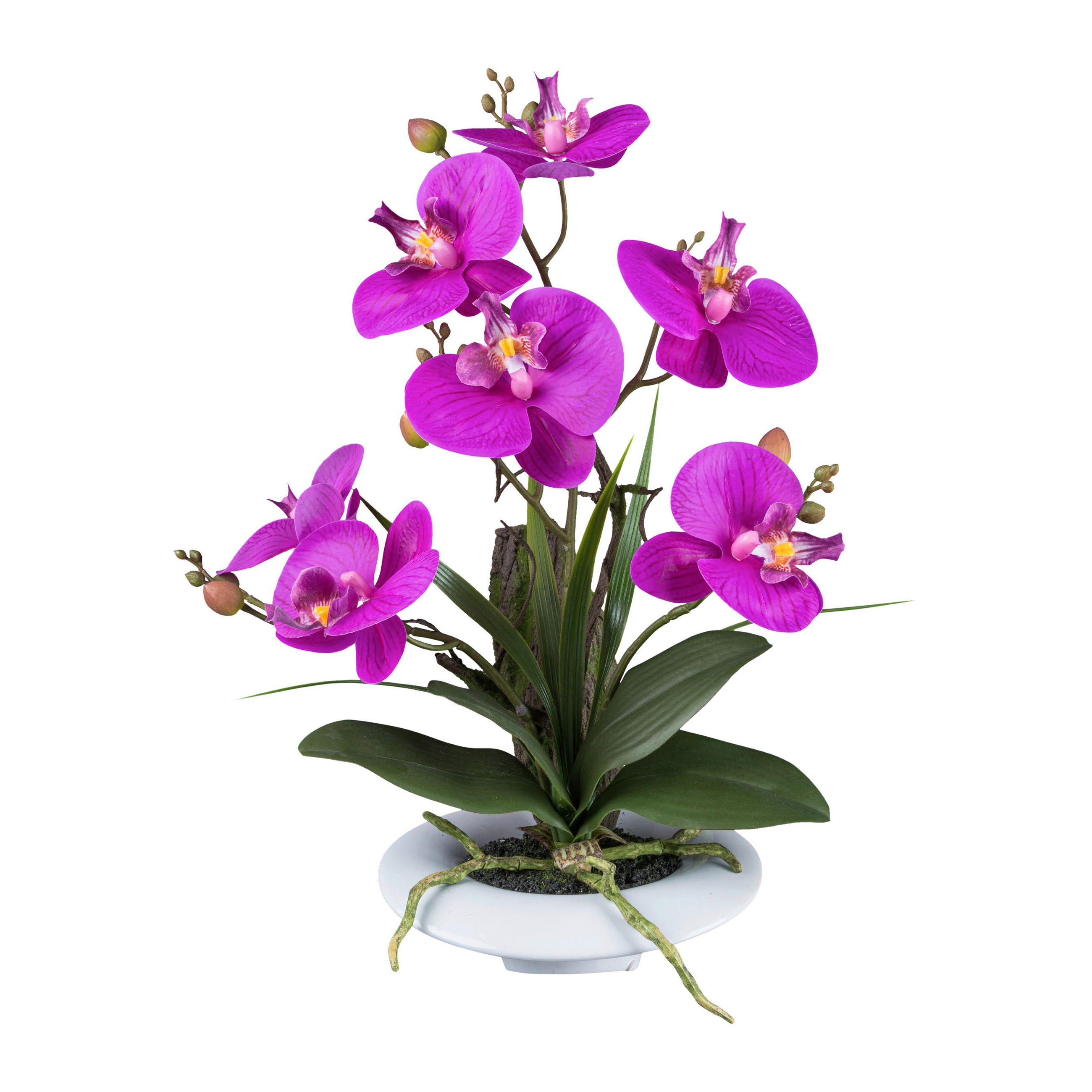 KUNSTPFLANZE Orchidee 41 cm  - Lila/Weiß, Design, Keramik/Kunststoff (41cm) - P & B