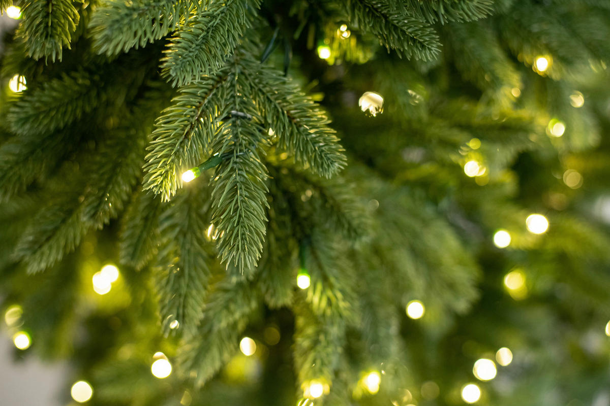 WEIHNACHTSBAUM 150 cm  - Grün, Basics, Kunststoff/Metall (101/150/101cm)