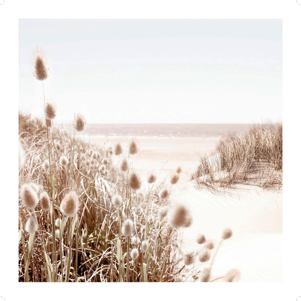 BILD  - Beige, Basics, Holz (50/50/2cm) - Reinders!