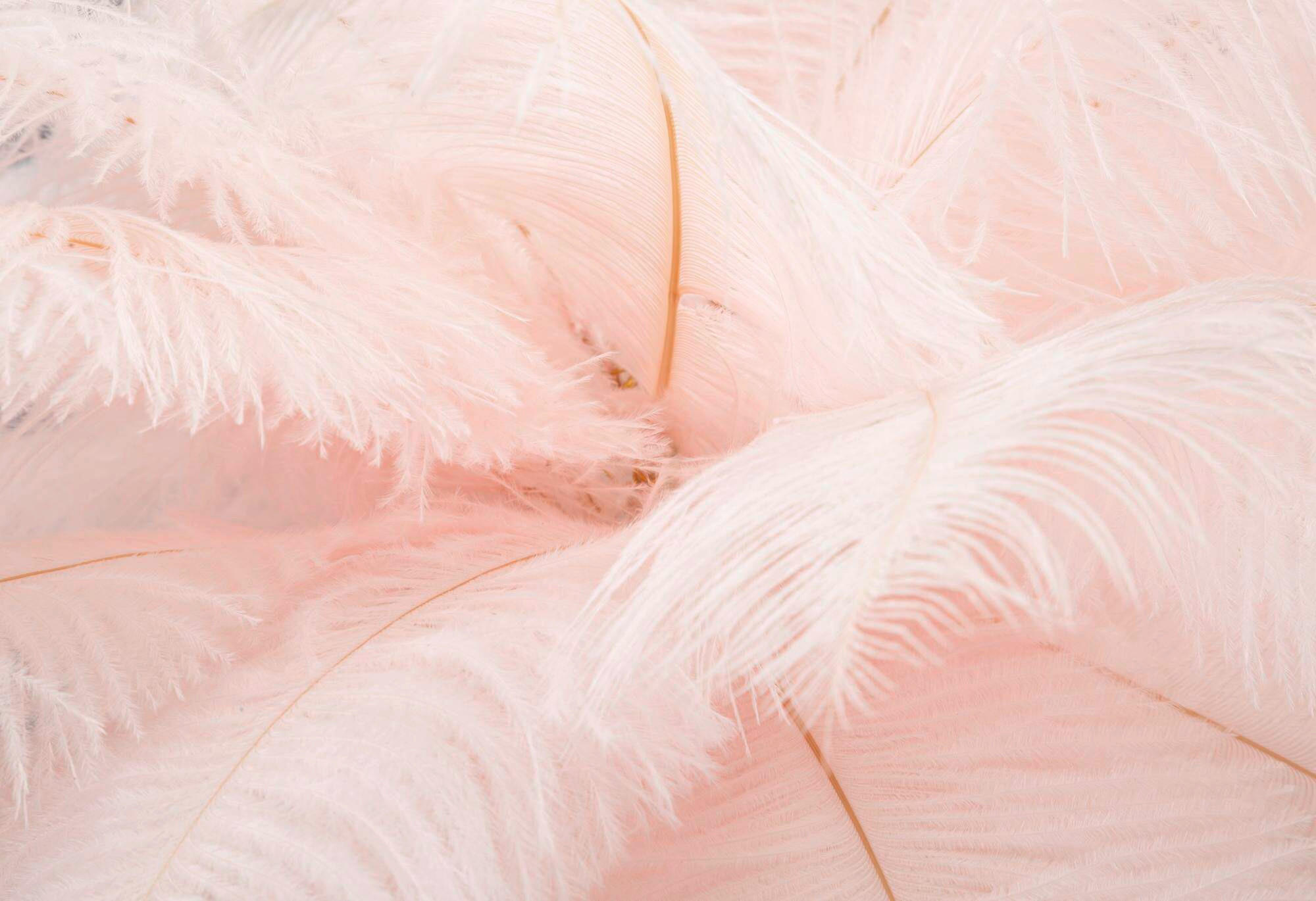 Thumbnail - Tischleuchte, Gold, Pink, Metall, Kunststoff, 40x55x40 cm, Lampen & Leuchten, Innenbeleuchtung, Tischlampen, Tischlampen