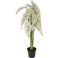 Plantă Artificială - Basics, plastic (38/31/88cm)