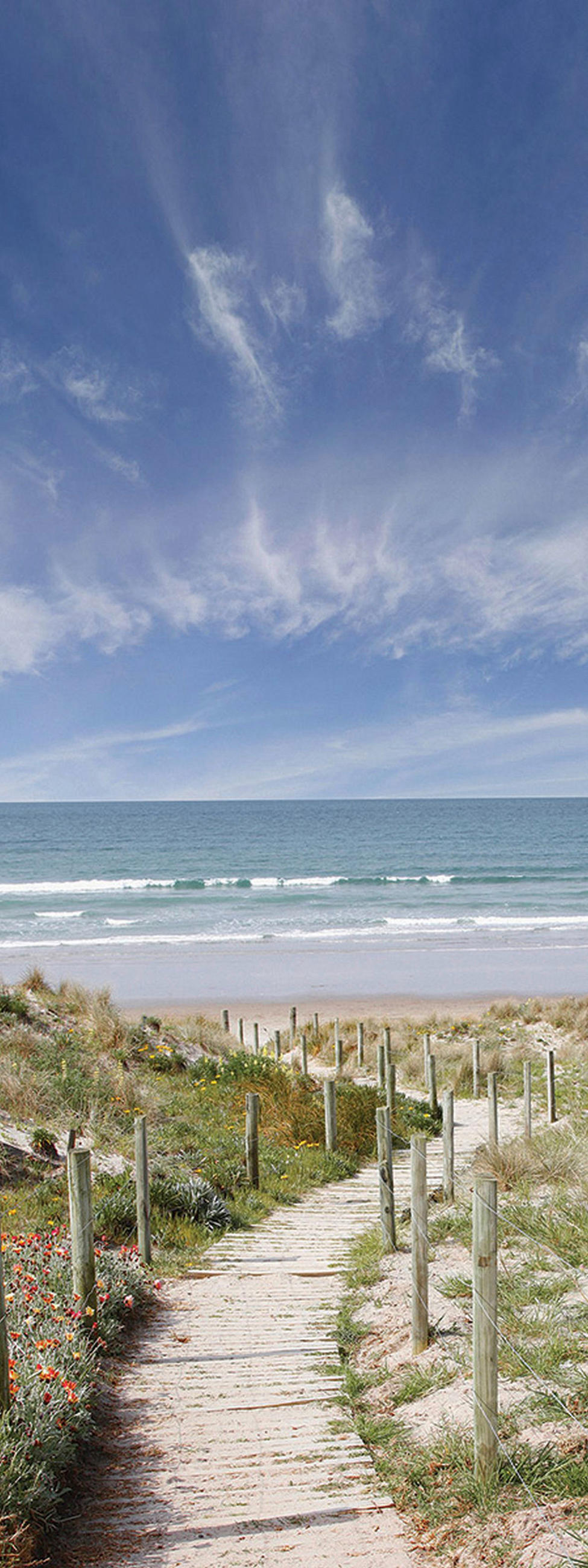 GLASBILD Strand & Meer 30/80 cm  - Sandfarben/Blau, Natur, Glas (30/80cm) - Euroart