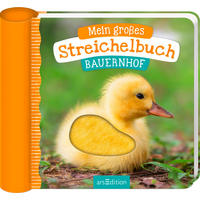 BILDERBUCH - Basics (16,6/19/4,0cm)