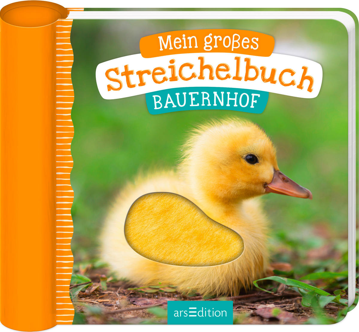 BILDERBUCH - Basics (16,6/19/4,0cm)