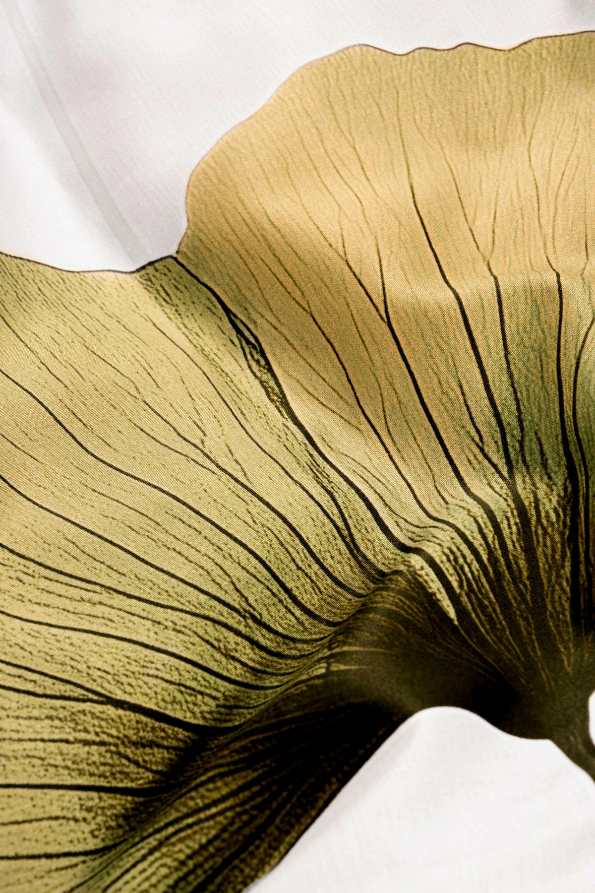 POSTELJNINA 200/200 cm saten zelena  - zelena, Konvencionalno, tekstil (200/200cm) - Essenza