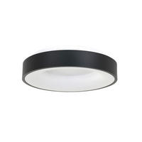 LED-DECKENLEUCHTE Ringlede 38/9 cm   - Schwarz, Basics, Kunststoff/Metall (38/9cm)