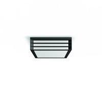 ZUNANJA STROPNA SVETILKA   8,1/26/26 cm            - antracit, Basics, kovina (8,1/26/26cm) - Philips