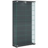 VITRINE in Anthrazit  - Transparent/Anthrazit, Design, Glas/Holzwerkstoff (59/114/17cm) - MID.YOU
