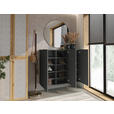 HÄNGESCHUHSCHRANK 120/100/34 cm  - Anthrazit, Design, Holzwerkstoff (120/100/34cm) - Hom`in