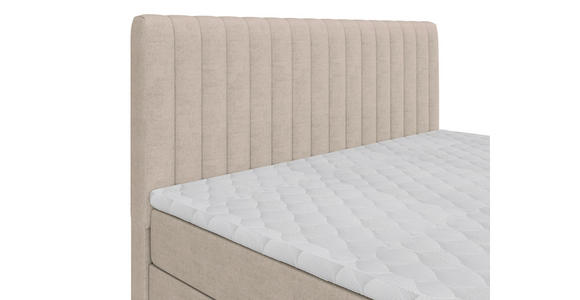 BOXBETT 160/200 cm  in Creme  - Creme/Schwarz, Basics, Kunststoff/Textil (160/200cm) - Carryhome