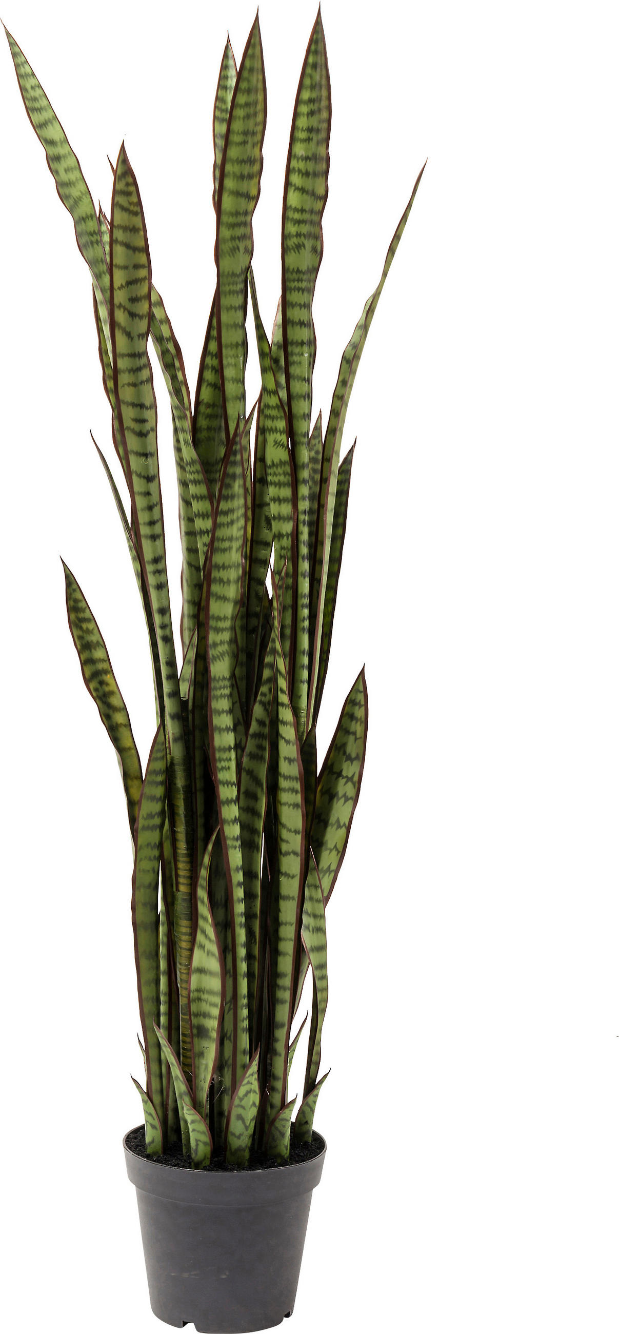 Kare-Design Dekopflanze Schwarz, Dunkelgrün 35x155x35 cm