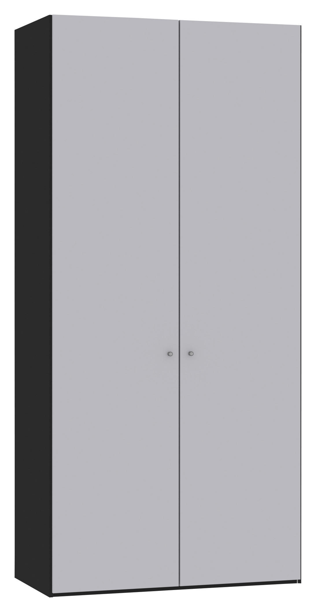 DREHTÜRENSCHRANK 102/220/40 cm,  in Schwarz, Hellgrau, 2-türig  - Silberfarben/Hellgrau, Design, Glas/Holzwerkstoff (102/220/40cm) - Jutzler