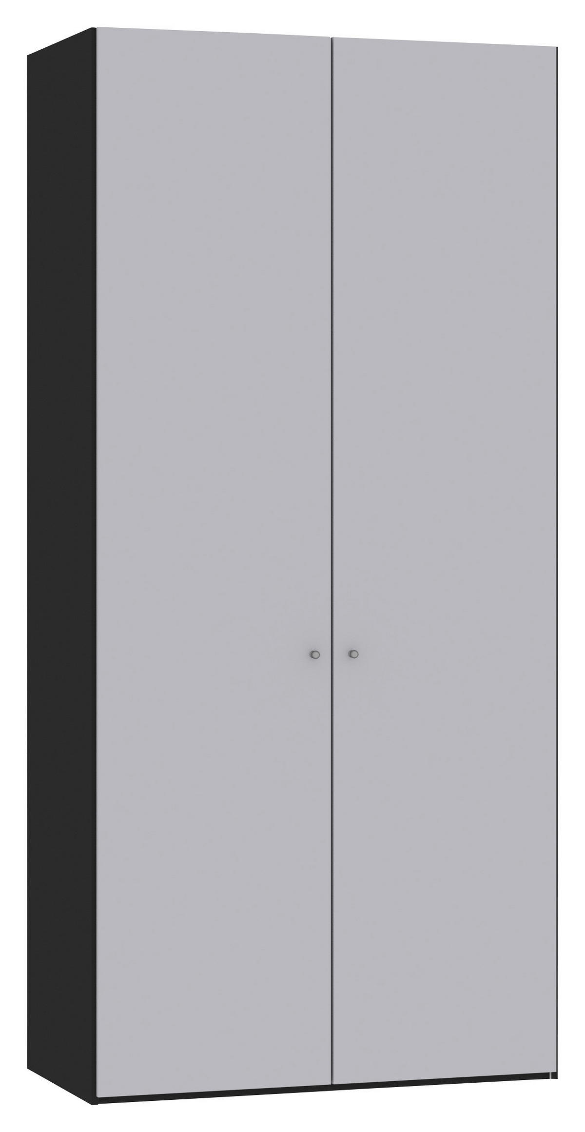 DREHTÜRENSCHRANK 102/220/40 cm,  in Schwarz, Hellgrau, 2-türig  - Silberfarben/Hellgrau, Design, Glas/Holzwerkstoff (102/220/40cm) - Jutzler
