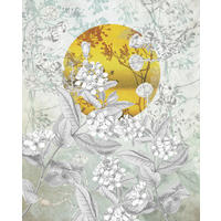 NON WOVEN-TAPET 200/250 cm  - vit/svart, Basics (200/250cm) - Komar