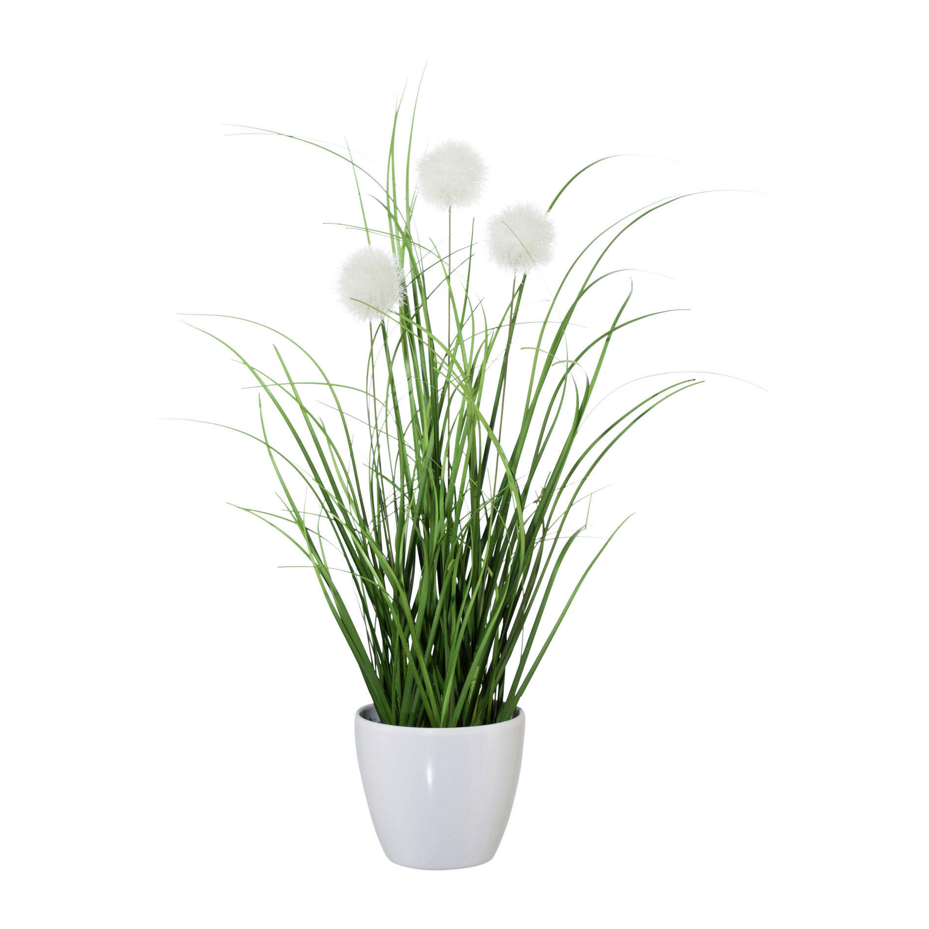 KUNSTPFLANZE 36 cm  - Creme/Weiß, Basics, Kunststoff (36cm)