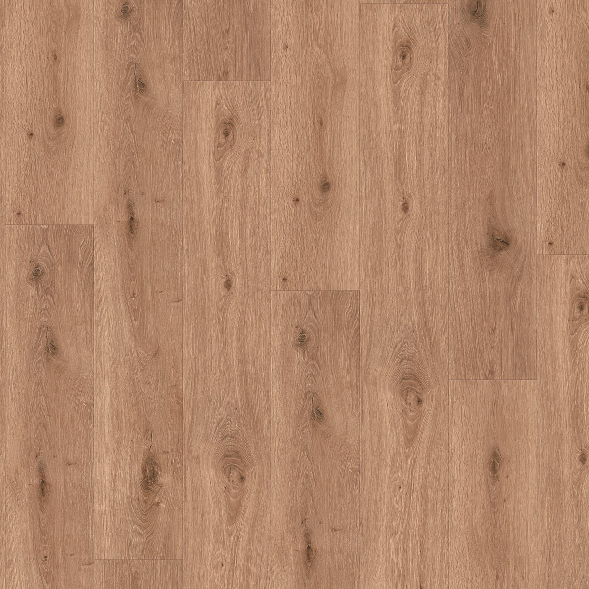 DESIGNBODEN Trendtime 8 1744827  per  m² - Eichefarben, Design, Kunststoff (152,2/22,5/0,06cm) - Parador