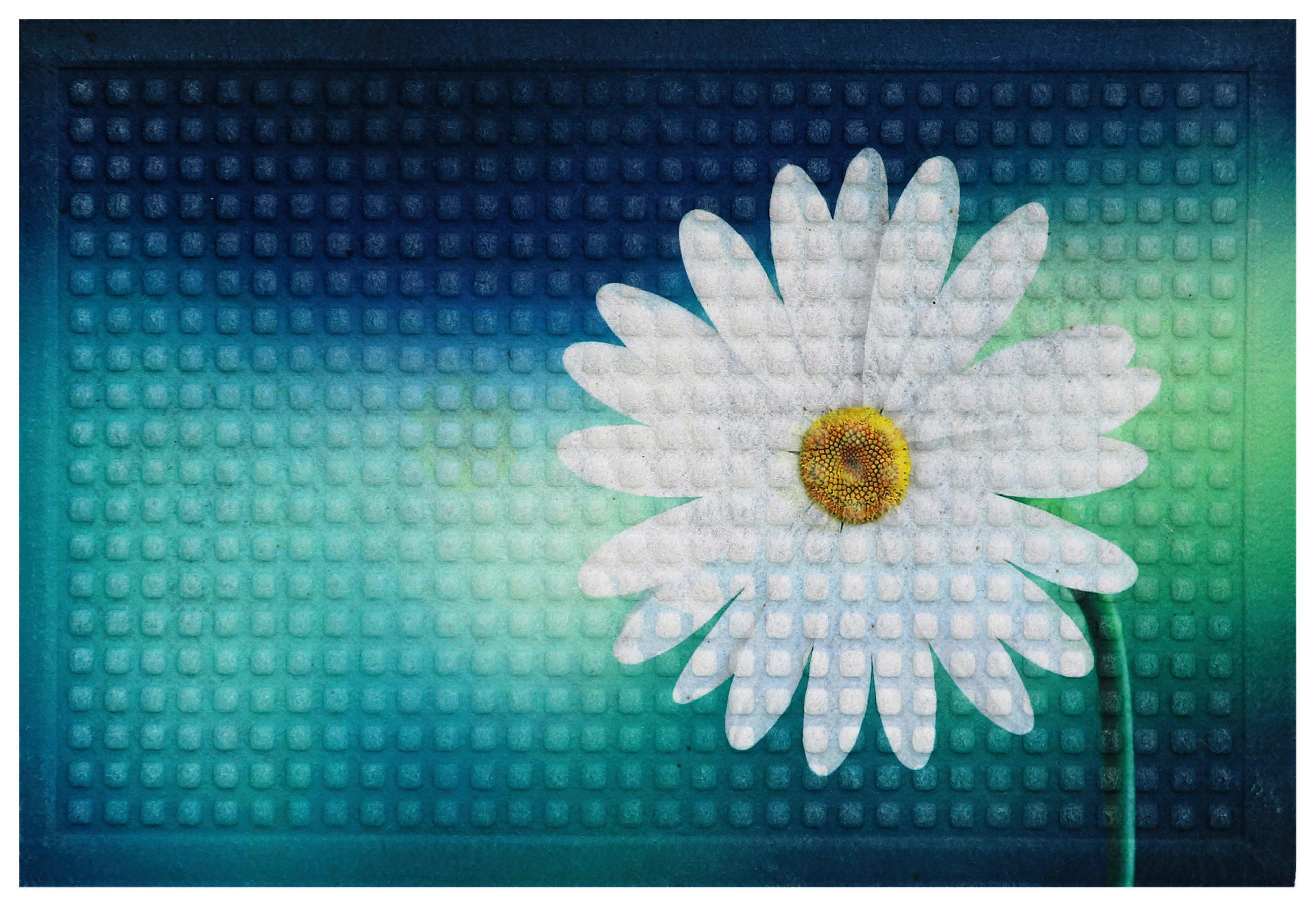 DVEŘNÍ ROHOŽKA, 40/60 cm