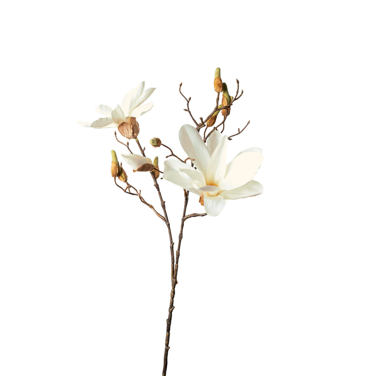 MAGNOLIE - Weiss/Grün, Basics, Kunststoff (85cm)