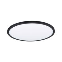 LED-PANEEL  - Schwarz, Basics, Kunststoff (42/2,8cm) - Paulmann