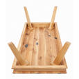 COUCHTISCH in Holz 110/60/38 cm  - Eichefarben, Natur, Holz (110/60/38cm) - Novel