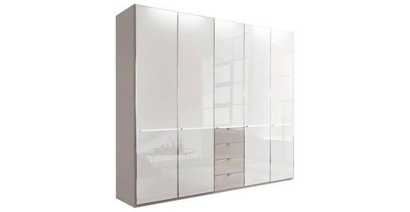 KLEIDERSCHRANK 250/216/58 cm 5-türig Grau, Weiß - Chromfarben/Weiß, Design, Glas/Holzwerkstoff (250/216/58cm) - Novel