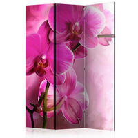 PARAVÁN, 135/172/3 cm - pink, Basics, dřevo/textil (135/172/3cm) - artgeist