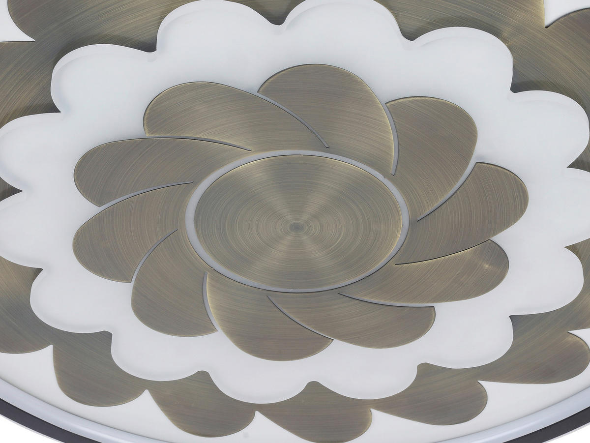 STROPNÉ LED SVIETIDLO, 58/5,5 cm  - čierna/biela, Lifestyle, kov/plast (58/5,5cm) - Dieter Knoll