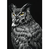 KUNSTDRUCK 50/70 cm  - Weiss/Schwarz, Basics, Papier (50/70cm) - Monee