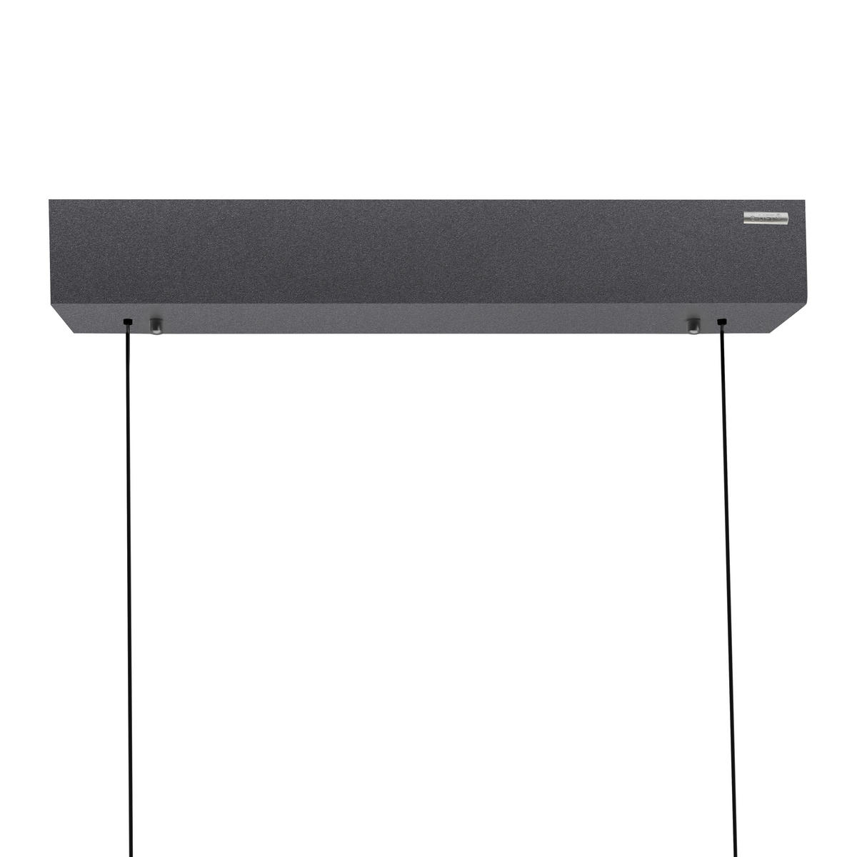 LED-HÄNGELEUCHTE Pure-Moto-Rise 200/8,2/240 cm  - Schwarz, Design, Kunststoff/Metall (200/8,2/240cm) - Neuhaus PURE