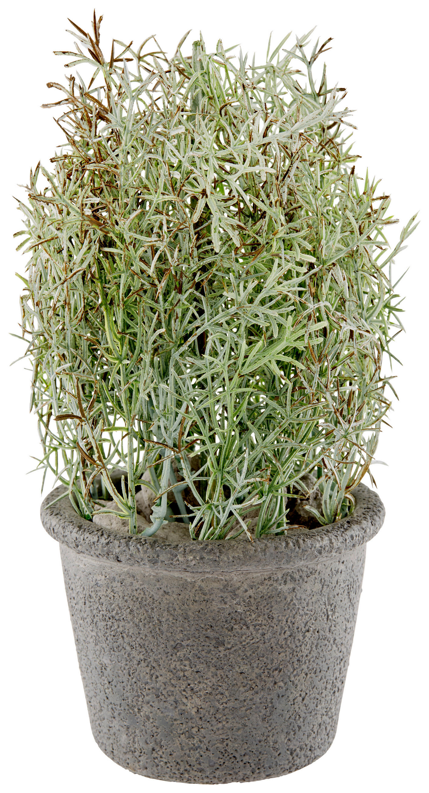 Kunstpflanze Dekostrauch Grün H: 24,5 Cm, Eilert