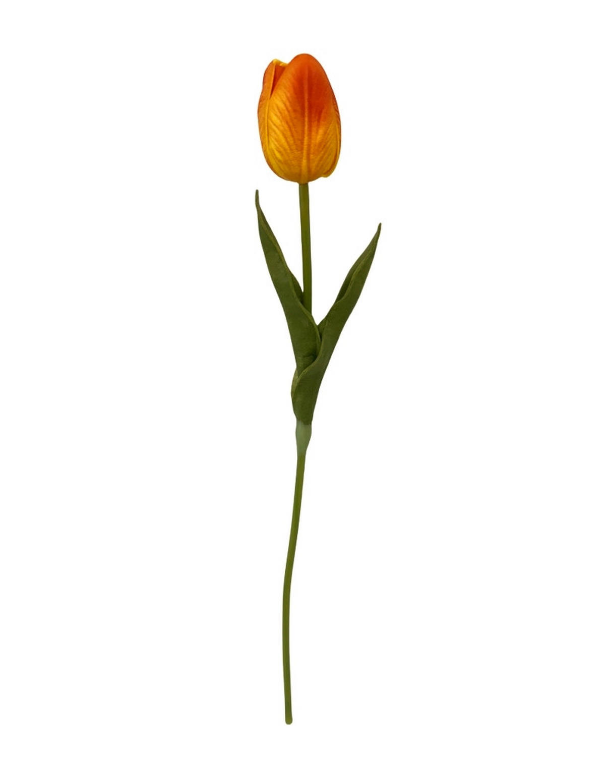 TULIPÁN - krémszínű/sárga, Lifestyle, műanyag (36cm)