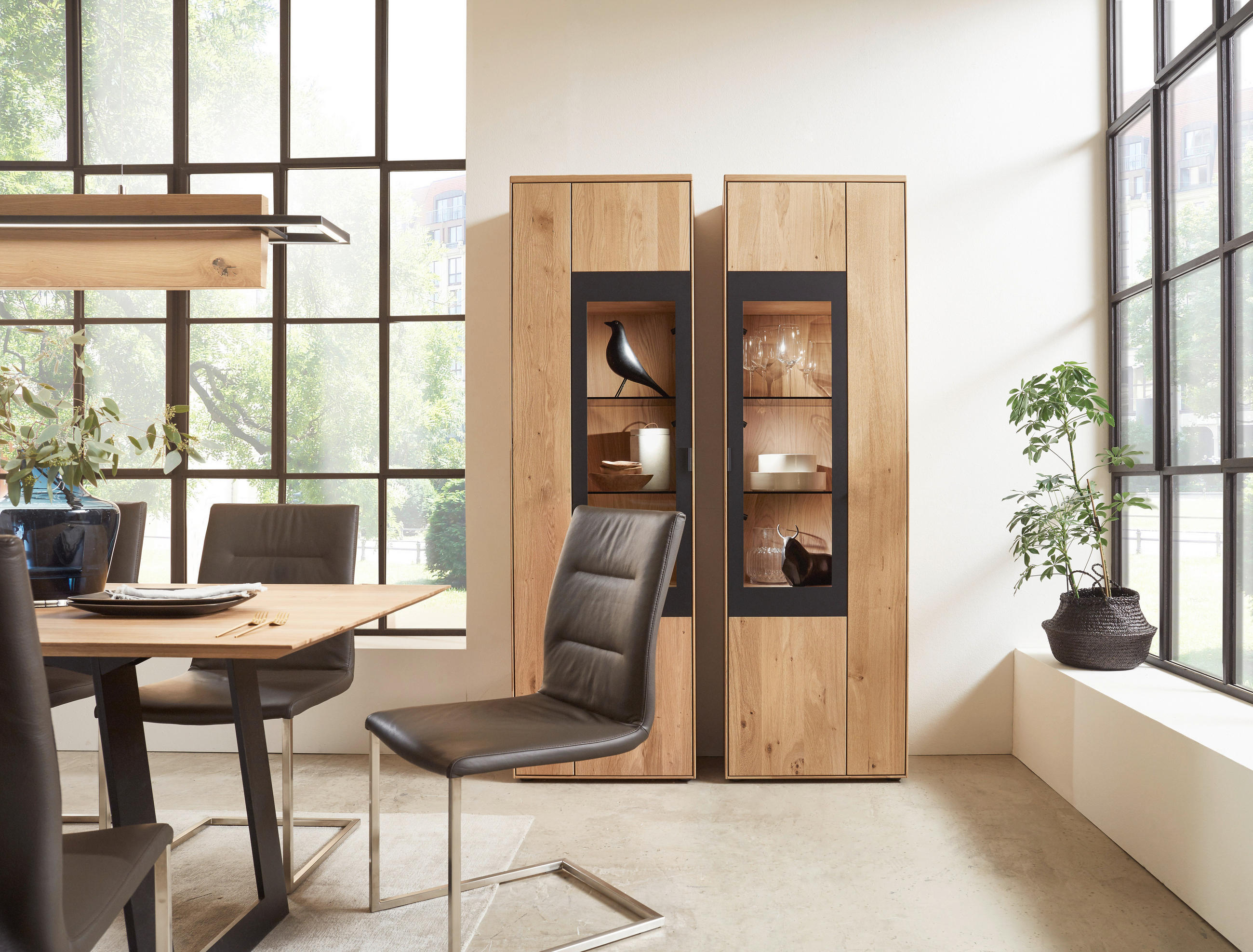 VITRINE in massiv Wildeiche Schwarz, Wildeiche  - Wildeiche/Schwarz, Design, Glas/Holz (62/206/37cm) - Valdera