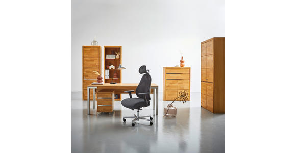 AKTENREGAL 65/201/41 cm - Wildeiche, KONVENTIONELL, Holz/Holzwerkstoff (65/201/41cm) - Linea Natura